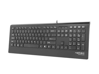 Klawiatura Barracuda Slim USB czarna